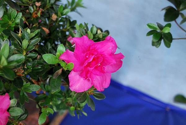 DSC_4687.jpg DSC_4687.jpg