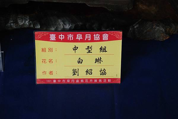 DSC_4690.jpg DSC_4690.jpg