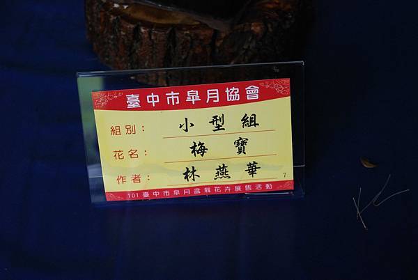 DSC_4692.jpg DSC_4692.jpg