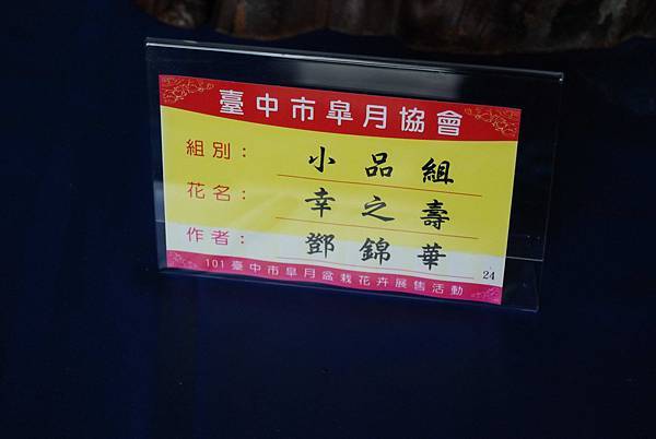 DSC_4698.jpg DSC_4698.jpg