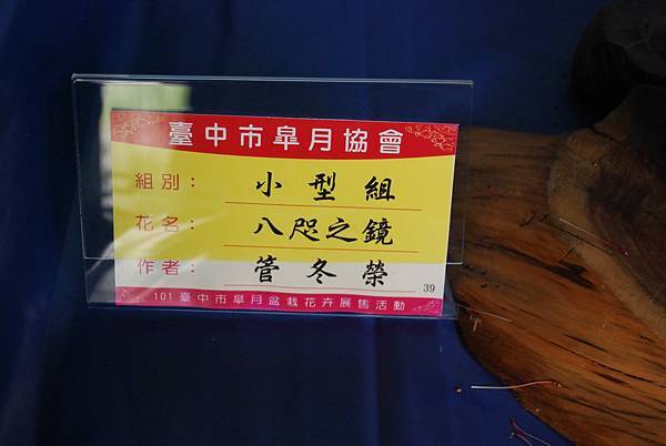 DSC_4702.jpg DSC_4702.jpg