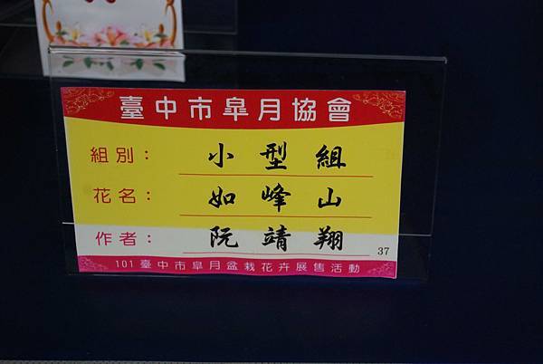 DSC_4704.jpg DSC_4704.jpg