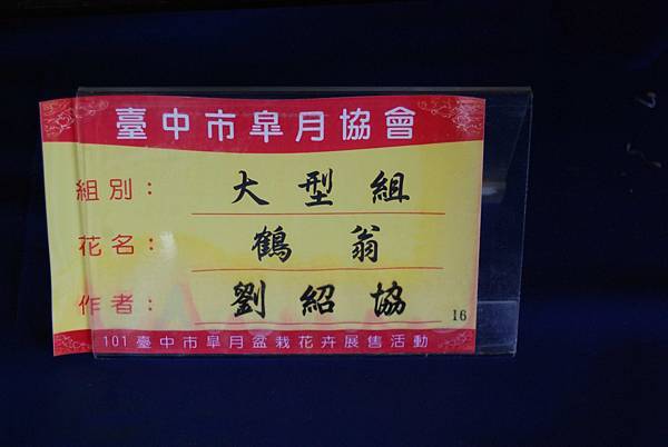 DSC_4706.jpg DSC_4706.jpg