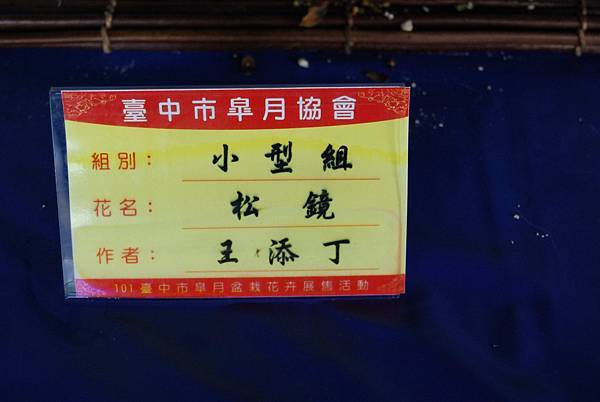 DSC_4708.jpg DSC_4708.jpg