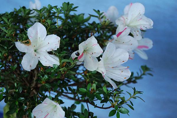 DSC_4709.jpg DSC_4709.jpg