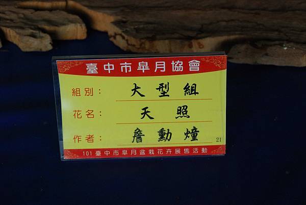 DSC_4712.jpg DSC_4712.jpg