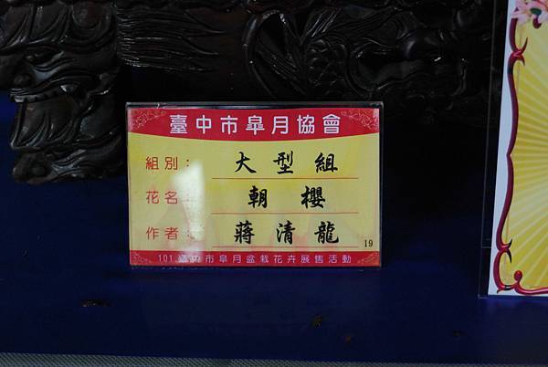 DSC_4714.jpg DSC_4714.jpg