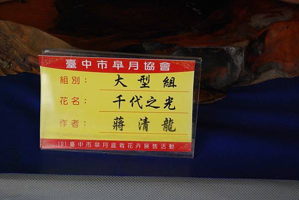 DSC_4716.jpg DSC_4716.jpg