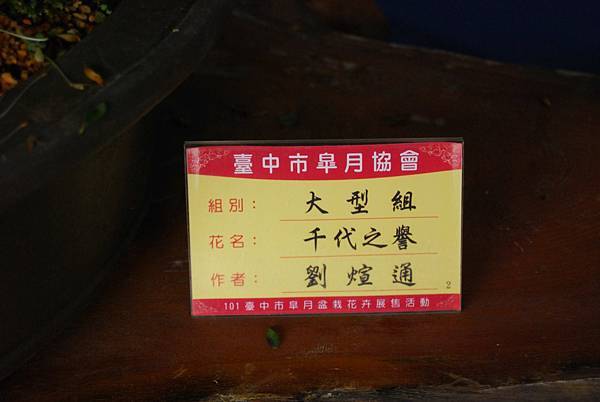 DSC_4718.jpg DSC_4718.jpg