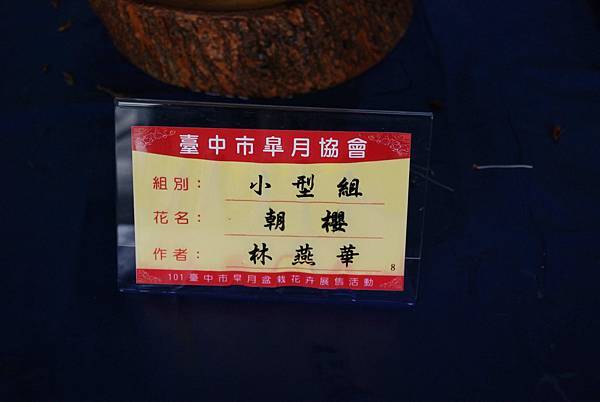 DSC_4720.jpg DSC_4720.jpg