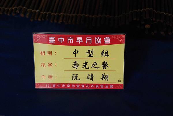 DSC_4722.jpg DSC_4722.jpg