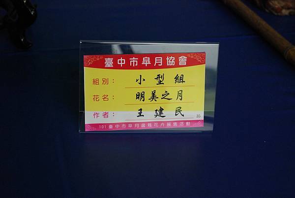 DSC_4728.jpg DSC_4728.jpg