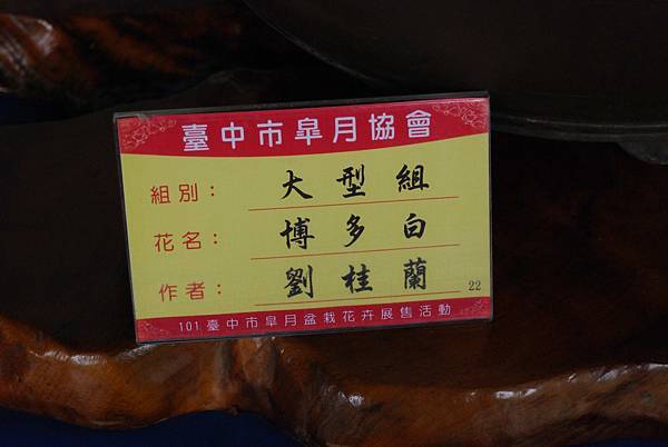 DSC_4730.jpg DSC_4730.jpg