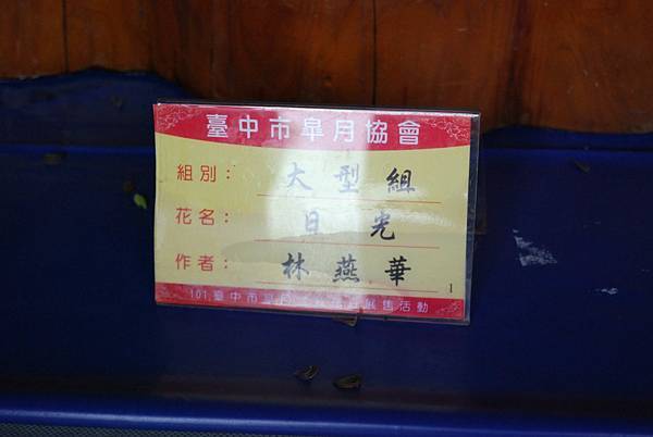 DSC_4732.jpg DSC_4732.jpg