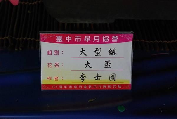 DSC_4742.jpg DSC_4742.jpg