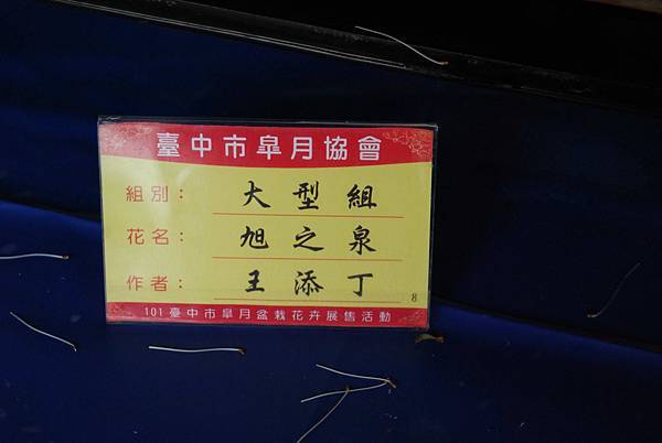 DSC_4744.jpg DSC_4744.jpg