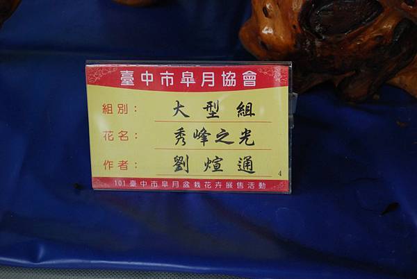 DSC_4746.jpg DSC_4746.jpg