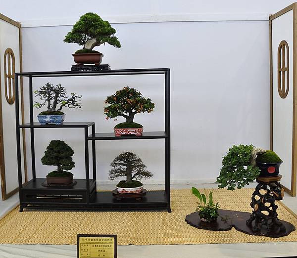 2015華風展0463.jpg