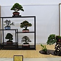 2015華風展0463.jpg