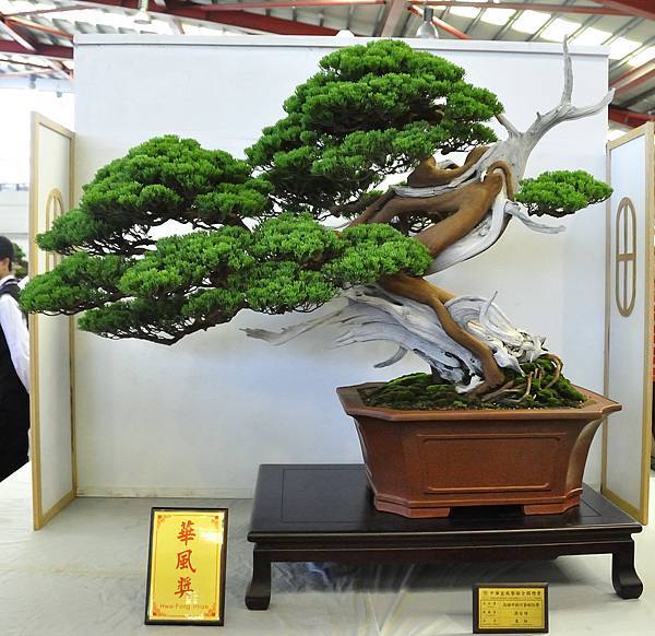 2015華風展0547.jpg