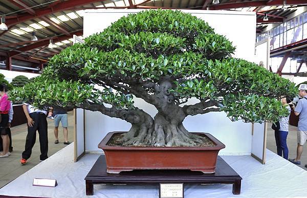 2015華風展0681.jpg
