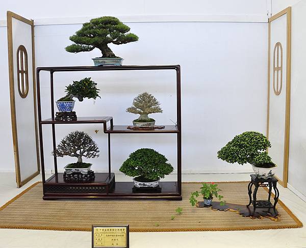 2015華風展0760.jpg