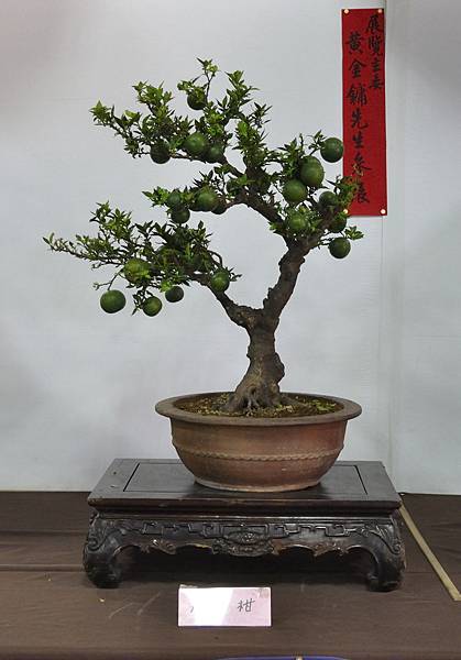 2015台灣花菓盆栽展0009.jpg