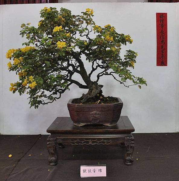2015台灣花菓盆栽展0065.jpg