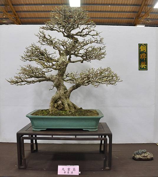 2015台灣花菓盆栽展0091.jpg