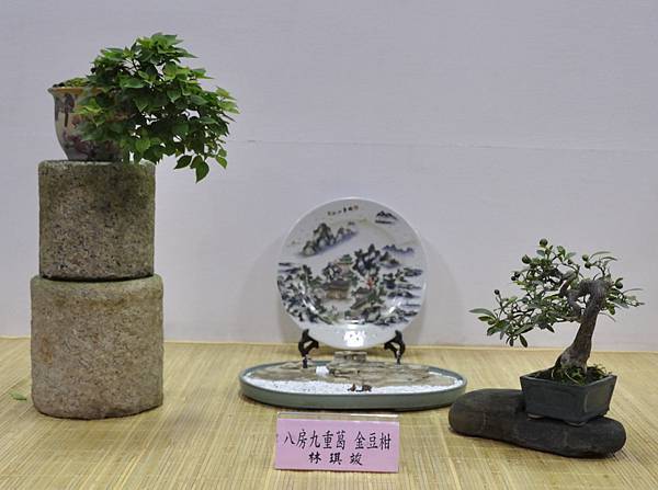 2015台灣花菓盆栽展0097.jpg