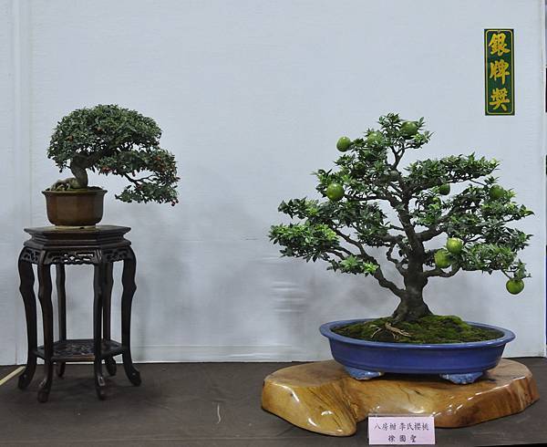 2015台灣花菓盆栽展0099.jpg