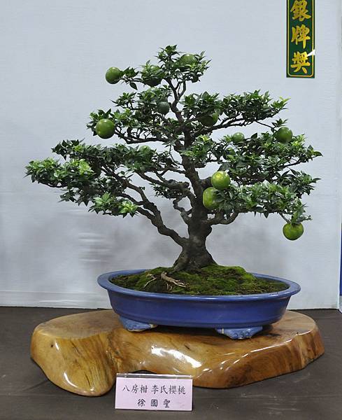 2015台灣花菓盆栽展0103.jpg