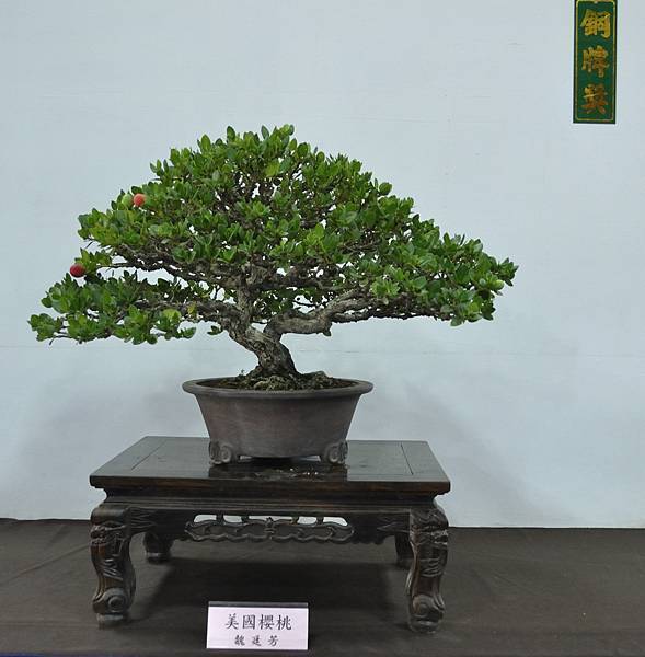 2015台灣花菓盆栽展0133.jpg