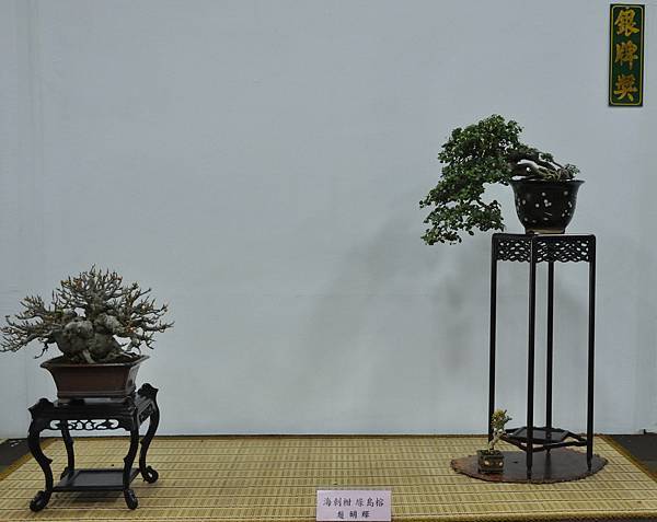 2015台灣花菓盆栽展0137.jpg