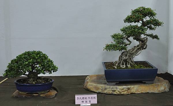 2015台灣花菓盆栽展0148.jpg