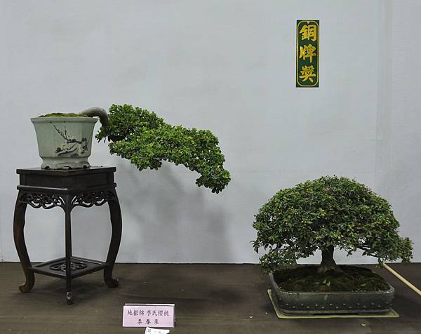2015台灣花菓盆栽展0169.jpg