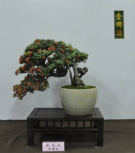 2015台灣花菓盆栽展0176.jpg