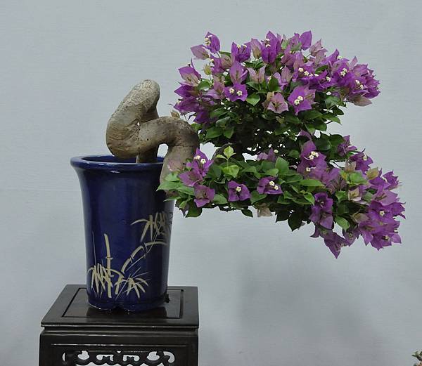 2015台灣花菓盆栽展0180.jpg