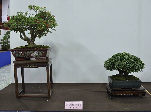 2015台灣花菓盆栽展0186.jpg