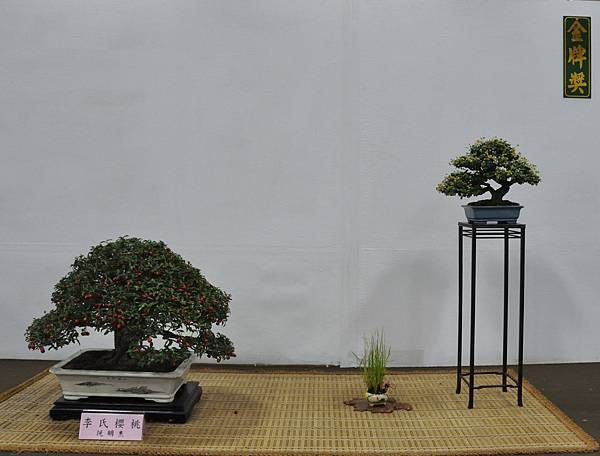 2015台灣花菓盆栽展0202.jpg