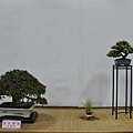 2015台灣花菓盆栽展0202.jpg