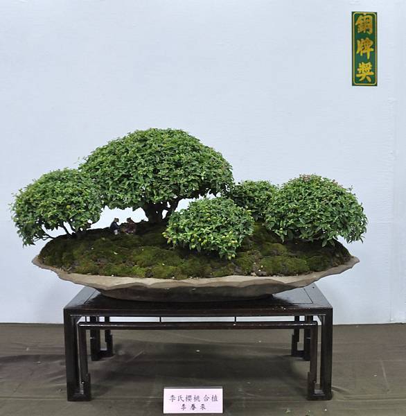 2015台灣花菓盆栽展0213.jpg