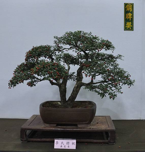 2015台灣花菓盆栽展0215.jpg