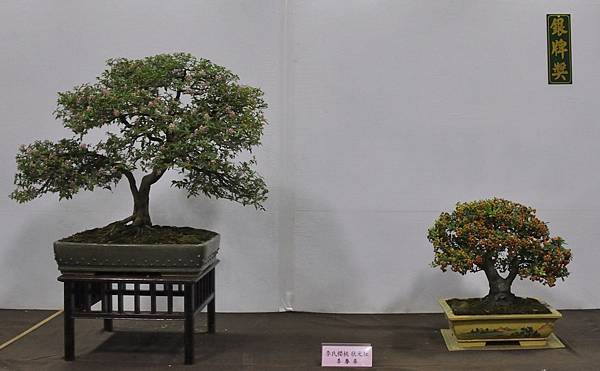 2015台灣花菓盆栽展0237.jpg