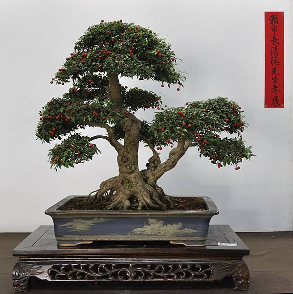 2015台灣花菓盆栽展0256.jpg