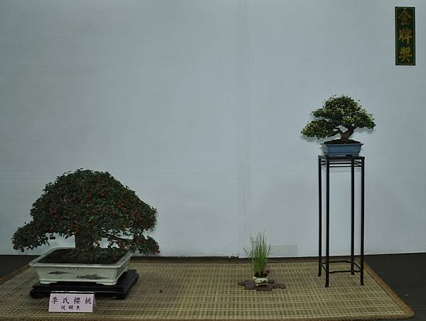 2015台灣花菓盆栽展0325.jpg