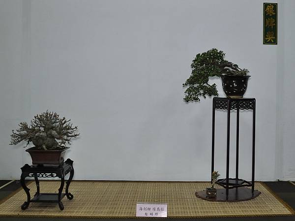 2015台灣花菓盆栽展0332.jpg
