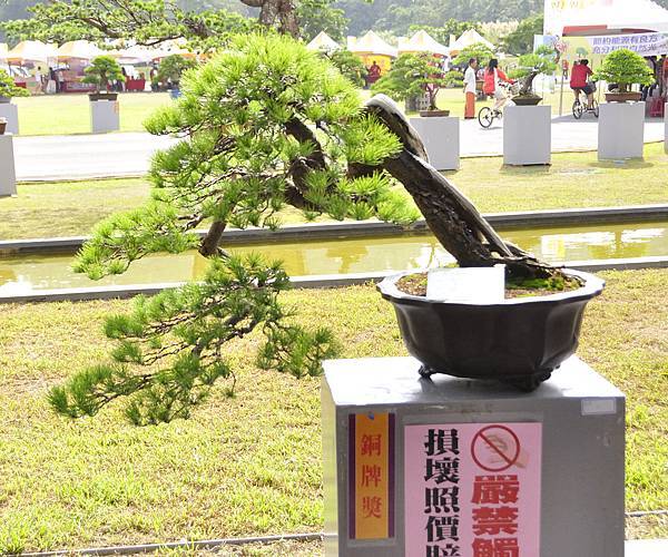 2015明潭松韻樹石大展0007.jpg