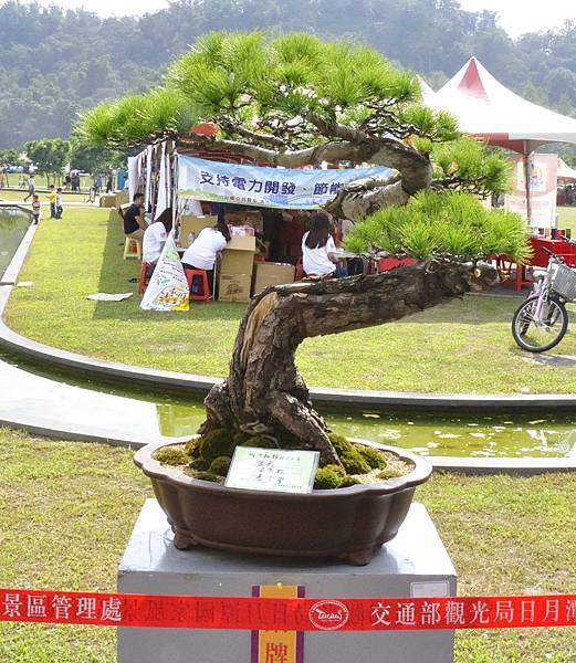 2015明潭松韻樹石大展0037.jpg