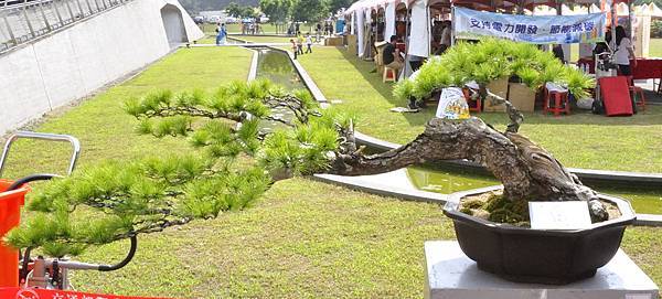 2015明潭松韻樹石大展0039.jpg